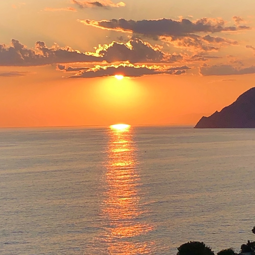 Meet your Posher, Vik